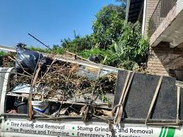 Best Moving and Downsizing Cleanouts  in Taylor, TX